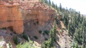 PICTURES/Cascade Falls - Dixie National Forrest/t_Looking back on trail2.JPG